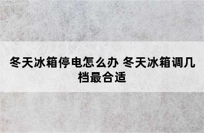 冬天冰箱停电怎么办 冬天冰箱调几档最合适